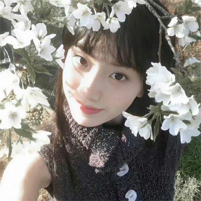 神医九小姐